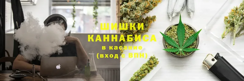 Бошки марихуана Amnesia  купить  цена  Красновишерск 